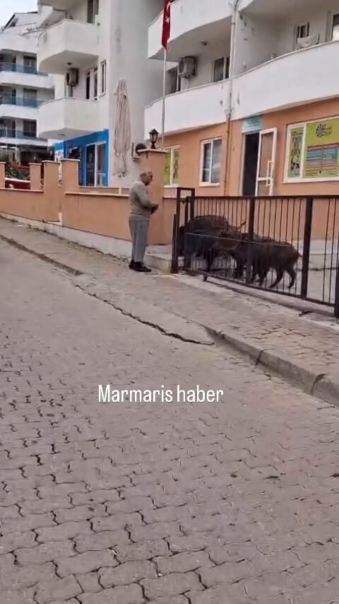 6KIjNI jCI 1PQ5n.jpg