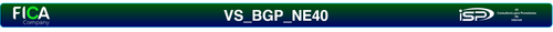 VS BGP NE40.png