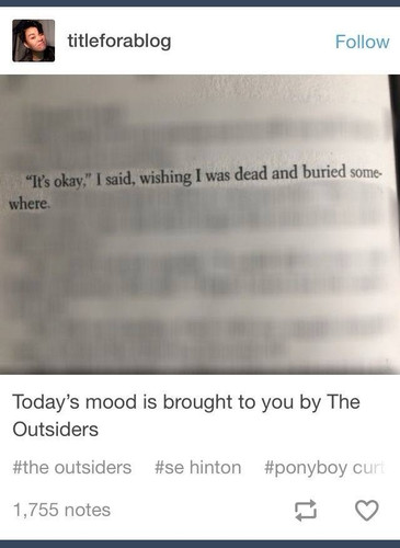 490145315 965515862416801 987185380307542701 n.jpg