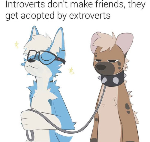 f8bbe8c7 5a42 4515 8382 77b0a1dee2b6.jpg