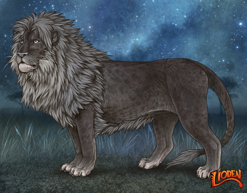 lioden wardrobe (10).png