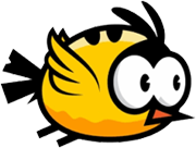 bird new.2