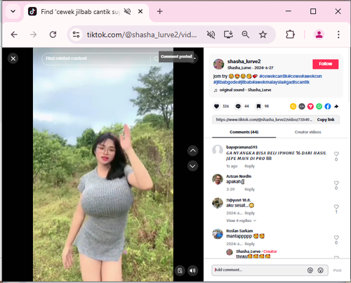 Screenshot 85.2