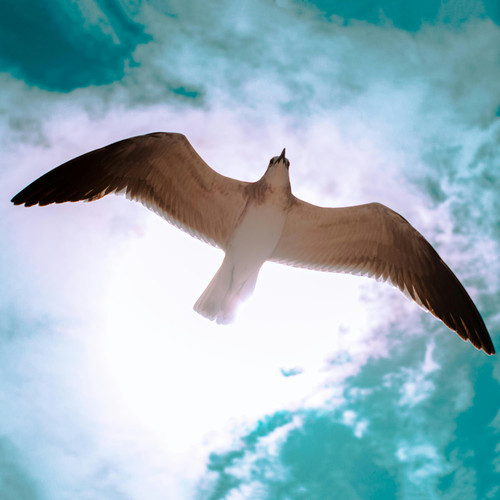 emiliano orduna GzpySm42ylM unsplash.1