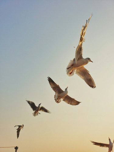 arun antony l bb7xrCdF8 unsplash.1