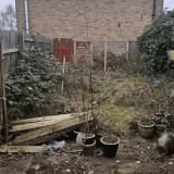 a6Zn5KL 460sv.gif