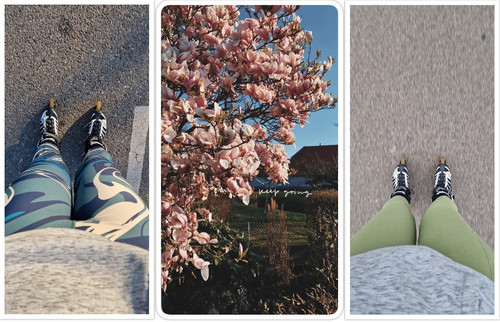 collage (87).jpg