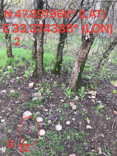 5463101978952462227.jpg