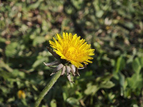 IMG 20250412 164050.jpg