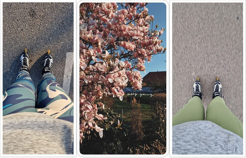 collage (86).jpg