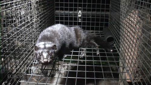 Dominion.2018.2160p.WEB DL.AAC2.0.H.264.1:29:59.png