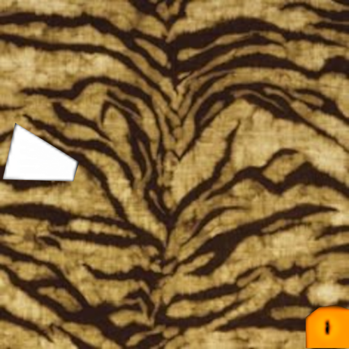 tiger cat.png