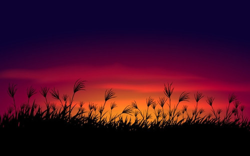sunset sky with grass silhouette background 104785 145.jpg
