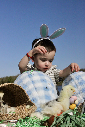 IMG 9639.jpg
