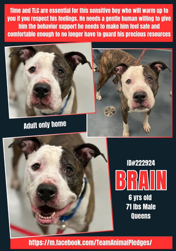 Gm LknrWUAAbTAD?format=jpg.jpg