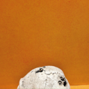 908d5480ba81.png