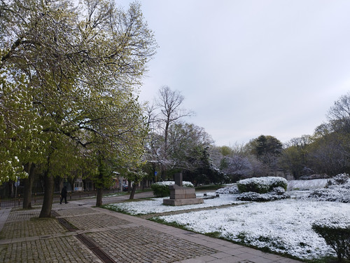 IMG 20250411 073308.jpg