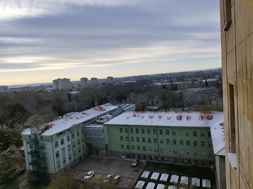 IMG 20250411 074428.jpg