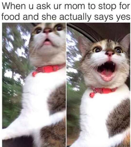Food meme 74.png