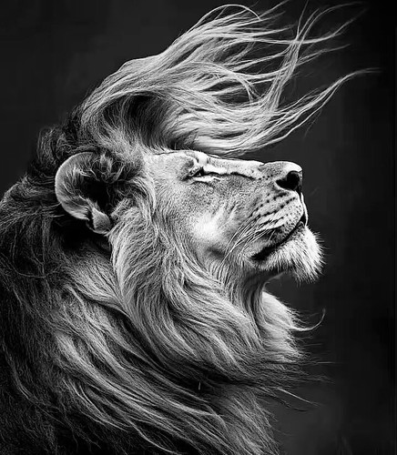 l Atp3U7L1msCMEl.jpg