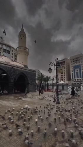 ayaj EFDTEy3diPT.jpg