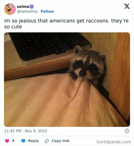 usa things people jealous of 1 66b484216839a 700.jpg