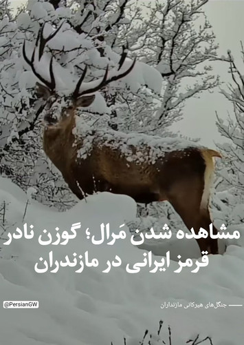 GoK5sVCWQAAUzPa.jpg