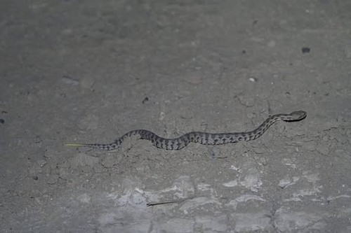 489219283 702711238774560 7010060688545800518 n.jpg?stp=dst jpg p526x395 tt6& nc cat=107&ccb=1 7& nc.jpg