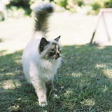 MatthewTribble6120 000008