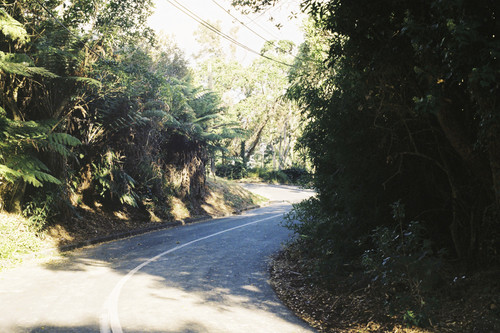 MatthewTribble6119 000010