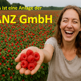 7ce49e1d 11e2 4a9e2 a161fe6f865f.png