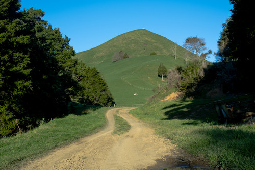 DSCF1201.jpg