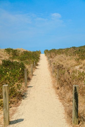 DSCF3376.jpg