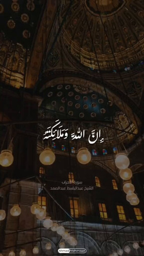 8hP pAp25O3BGksf.jpg