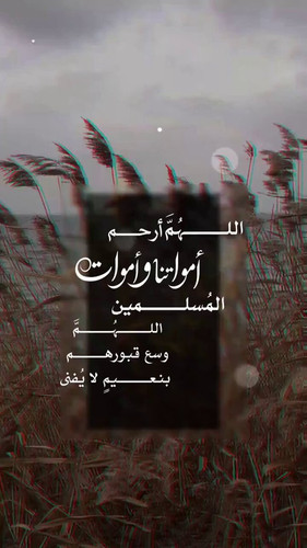 vnXd iTqRoQM cdJ.jpg