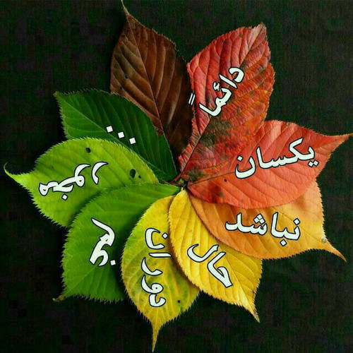 1806745561944139702 99.jpg