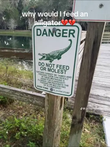 temp image CD4FA9B2 76EB 4F17 9624 A8A1FA0DC534.webp