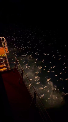 dIzVb5XxJwa4xa d.jpg