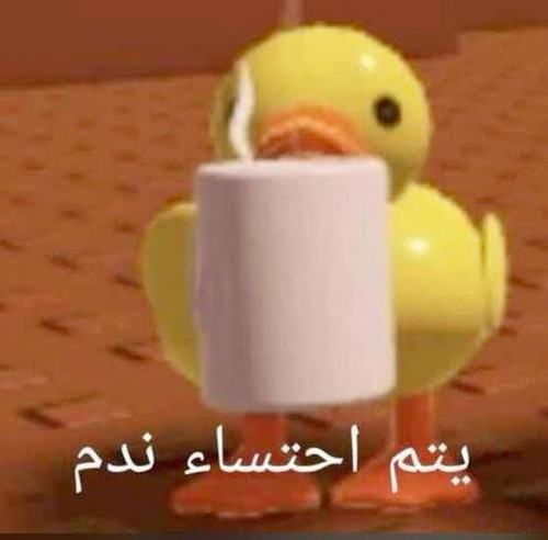 1000084320.jpg