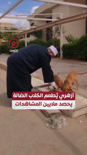 MoOHYX6EoyXV9sar.jpg