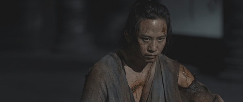 Shadow.aka.Ying.2018.1080p.BluRay.x264.AAC5.1.mkv snapshot 01.41.25.059.jpg