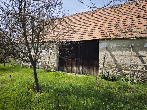 IMG 20250410 144854.jpg