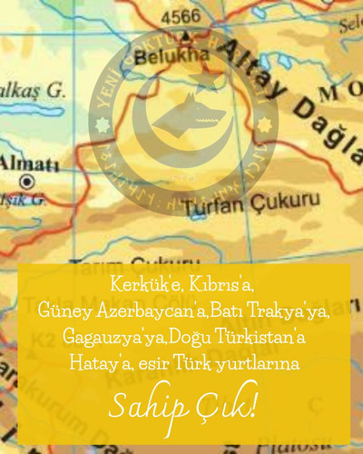 GoV9kaXWAAAxPJo.jpg