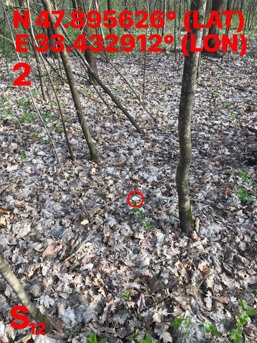 5463402519289000142.jpg
