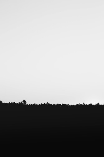 pexels joaojesusdesign 925743.jpg