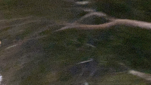 IMG 3987.jpg
