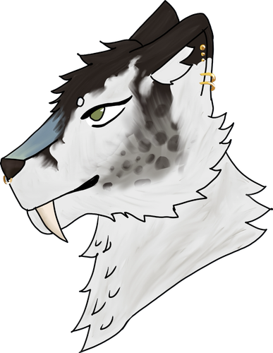 IMG 2152.png