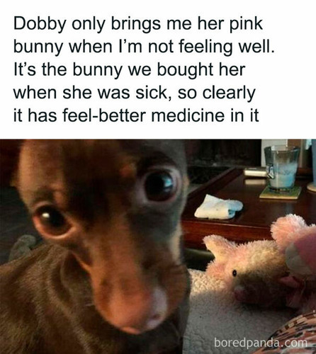 2 6701551eab5af 605.jpg