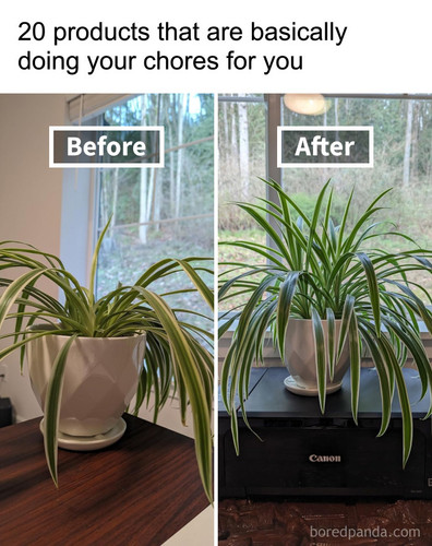products that do your chores for you.jpg