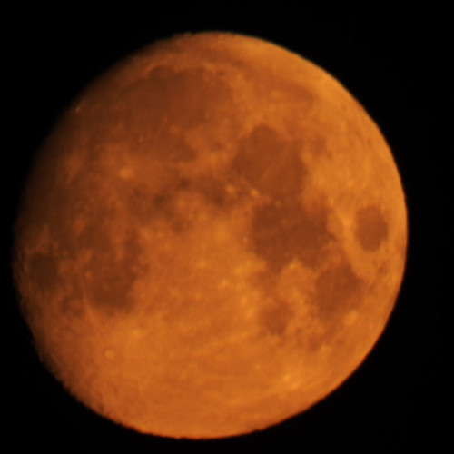 GoMGTfnW8AAWX8P.jpg